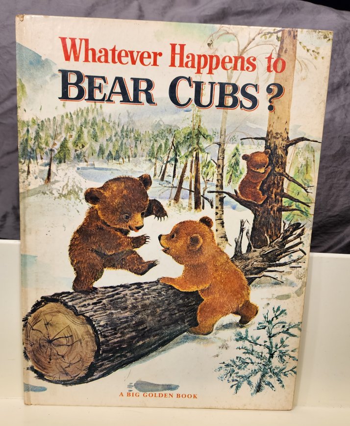 Whatever Happens to Bear Cubs?