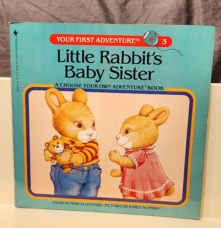 Little Rabbit's Baby Sister