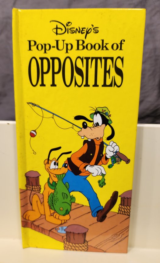 Pop-up Book of Opposites
